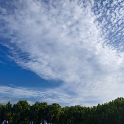我想成为影之强者国际服手游(Eminence)下载