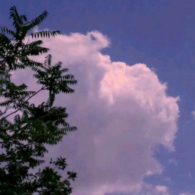 圣西游伏魔录手游下载